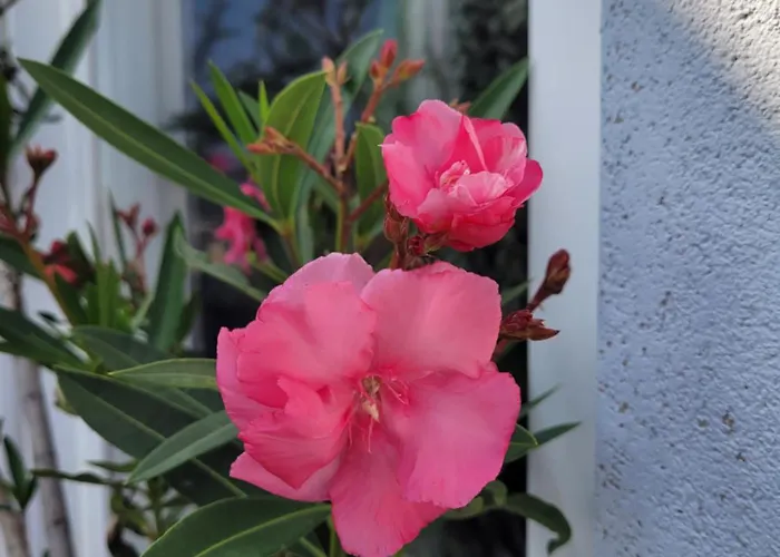 Zorab&b ホームステイ *