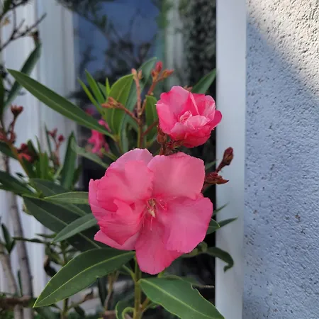 Zorab&b Habitación en casa particular *